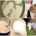 Proč vařící kozí mléko se někdy krčí a jak tomu zabránit