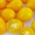 Description of the variety of tomatoes Golden Drop and Bifseller pink f1