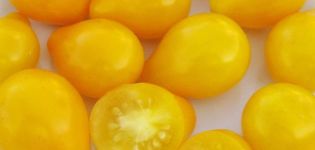 Pomidorų veislės „Golden Drop“ ir „Bifseller pink f1“ aprašymas