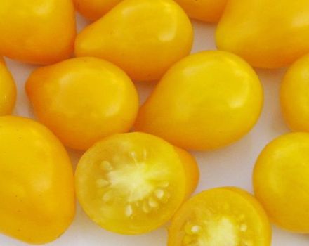 Pomidorų veislės „Golden Drop“ ir „Bifseller pink f1“ aprašymas