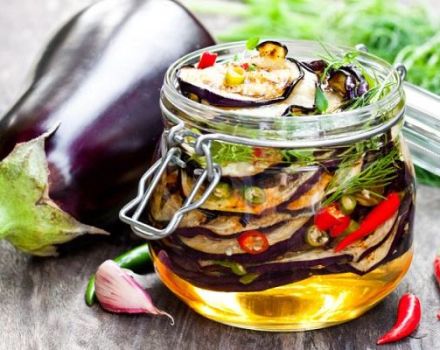6 delicious eggplant recipes with basil for the winter