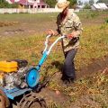 Ako kopať a zbierať zemiaky pomocou traktora so záchodom