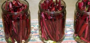TOP 10 delicious recipes for preparing beet tops for the winter