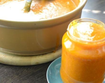 TOP 3 Schritt-für-Schritt-Rezepte für Aprikosenmarmelade mit Gelatine für den Winter