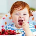 Korzyści zdrowotne i szkody wiśni, zawartość kalorii i skład, jak przechowywać jagody
