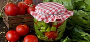 The best recipes for pickled tomatoes with celery for the winter and the shelf life of conservation