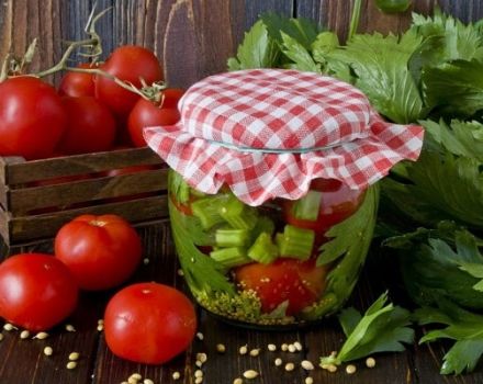 Le migliori ricette per pomodori in salamoia con sedano per l'inverno e la durata di conservazione