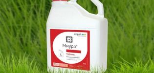 Instructions for the use of Miura herbicide against weeds in the beds and the consumption rate