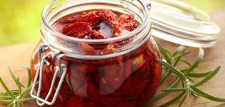TOP 17 Schritt-für-Schritt-Rezepte zum Kochen sonnengetrockneter Tomaten für den Winter zu Hause