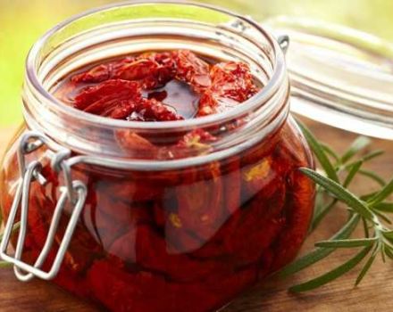 TOP 17 vaiheittainen resepti siitä, miten keittää aurinkokuivattuja tomaatteja talveksi kotona