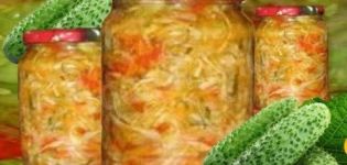Ricette originali per marinare i cetrioli con cavolo per l'inverno in barattoli