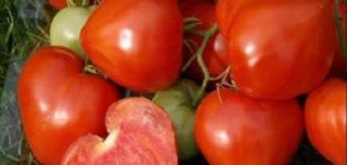 Περιγραφή και χαρακτηριστικά της ντομάτας Morning Dew