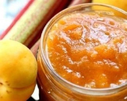 3 labākās aprikožu ievārījumu receptes ar fruktozi diabētiķiem ziemai