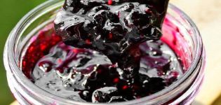 A TOP 2 receptje cseresznye levelekkel ellátott fekete és piros ribizli lekvárhoz