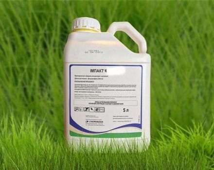 Instructions for use of the fungicide Impact and consumption rates