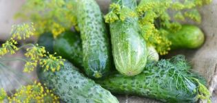Kenmerken en beschrijving van de Connie komkommersoort, teelt en verzorging