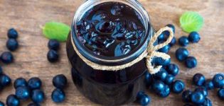 أفضل 6 وصفات لصنع التوت الأزرق في شراب لفصل الشتاء