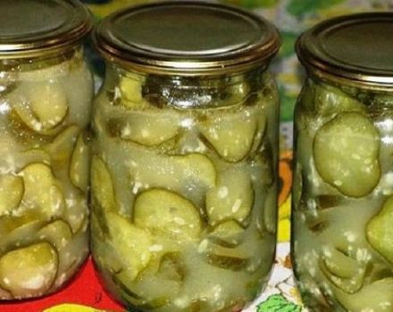 4 millors receptes per escabetjar cogombres amb oli de gira-sol