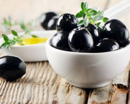 Description and characteristics of the best varieties of olives, how to choose in the store