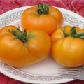 Leningrado milžiniškų pomidorų veislės savybės ir aprašymas, derlius