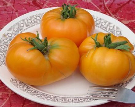 Leningrad-jättiläis tomaattilajikkeen ominaisuudet ja kuvaus, sen sato