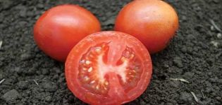 Opis odmiany pomidora Snow White, jej cechy, sadzenie i pielęgnacja