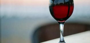 Evde kuru üzümden şarap yapmak için en iyi 6 tarif