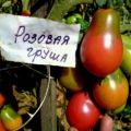 Beskrivelse og egenskaber ved tomatsorten Pærrosa