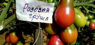 Beschrijving en kenmerken van de tomatenvariëteit Peerroze