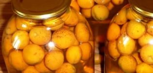 TOP 15 recepten voor abrikozencompote met en zonder zaden voor de winter, met en zonder suiker
