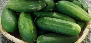 Beschrijving van de Kupechesky-komkommervariëteit, kenmerken van teelt en verzorging