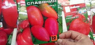 Pomidorų veislės Slavyanin aprašymas, auginimo ir priežiūros ypatybės