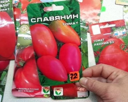 Descripción de la variedad de tomate Slavyanin, características de cultivo y cuidado.