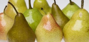 Är det möjligt att frysa päron i frysen för vintern och hur man gör det på rätt sätt