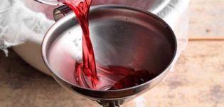 6 einfache Rezepte für die Herstellung von Rhabarberwein zu Hause