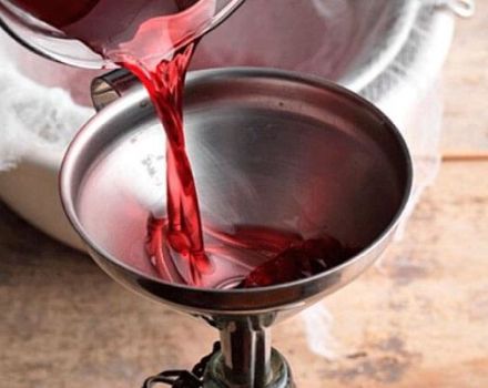 6 وصفات سهلة لصنع نبيذ الراوند في المنزل