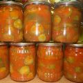 TOPP 5 läckra recept för att laga gurka i fyllning för vintern
