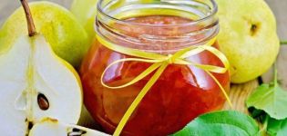 TOP 14 step-by-step recipes for amber jam from pear slices for the winter