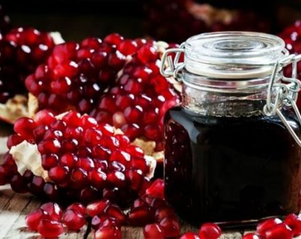 9 helppoa reseptiä herkullisen granaattiomenahillan valmistamiseksi