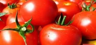 Descrizione della varietà di pomodoro Gunin, resa, caratteristiche di coltivazione