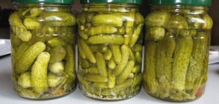 TOP 13 recipes for pickling crispy cucumbers for the winter in jars without vinegar