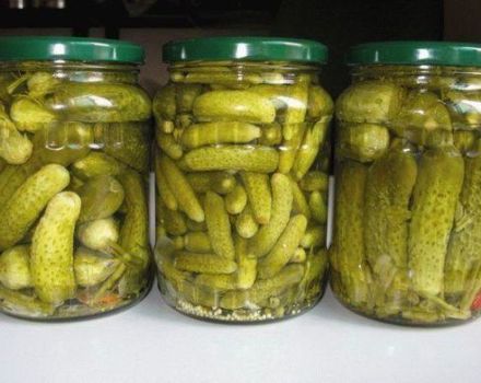 TOP 13 opskrifter på pickling sprøde agurker til vinteren i krukker uden eddike