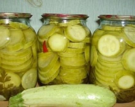 The best recipe for cooking zucchini in your own juice for the winter