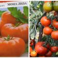 Beschreibung der Tomatensorte Mona Lisa und ihrer Eigenschaften