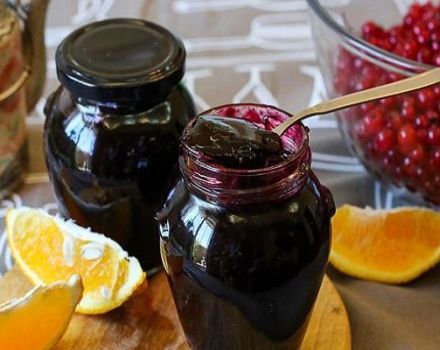9 recetas sencillas para hacer gelatina de grosella negra para el invierno