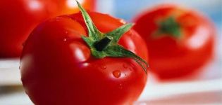 Descripción de la variedad de tomate Ksenia f1, sus características y cultivo.