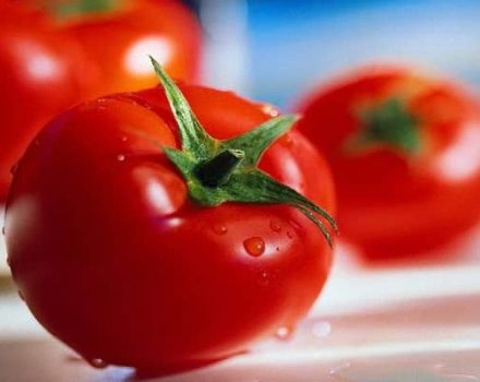 Ksenia f1 domates çeşidinin tanımı, özellikleri ve yetiştiriciliği