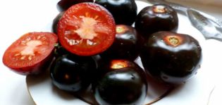 Egenskaber og beskrivelse af variationen af ​​tomat Indigo Rose