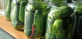 De belangrijkste redenen waarom potjes komkommers exploderen, hoe je conserven kunt besparen of opnieuw kunt doen, is het mogelijk om te eten