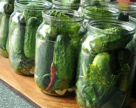 The main reasons why jars of cucumbers explode, how to save canning or redo, is it possible to eat